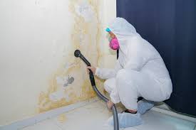 Northlake, SC Mold Removal Company